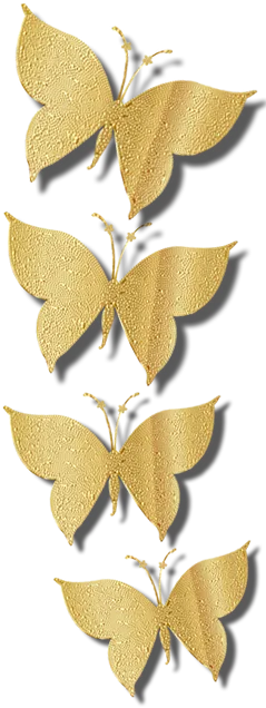 shape