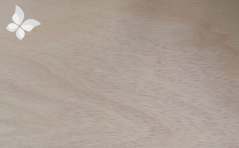 Euthalia Sauna Deventer abachihout